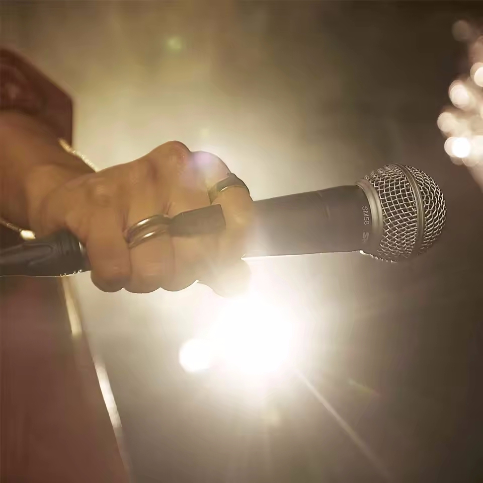 가라오케 다이나믹 마이크 PC용 전문 유선 마이크 라이 - Shure Mic Sm58 리뷰 및 가격